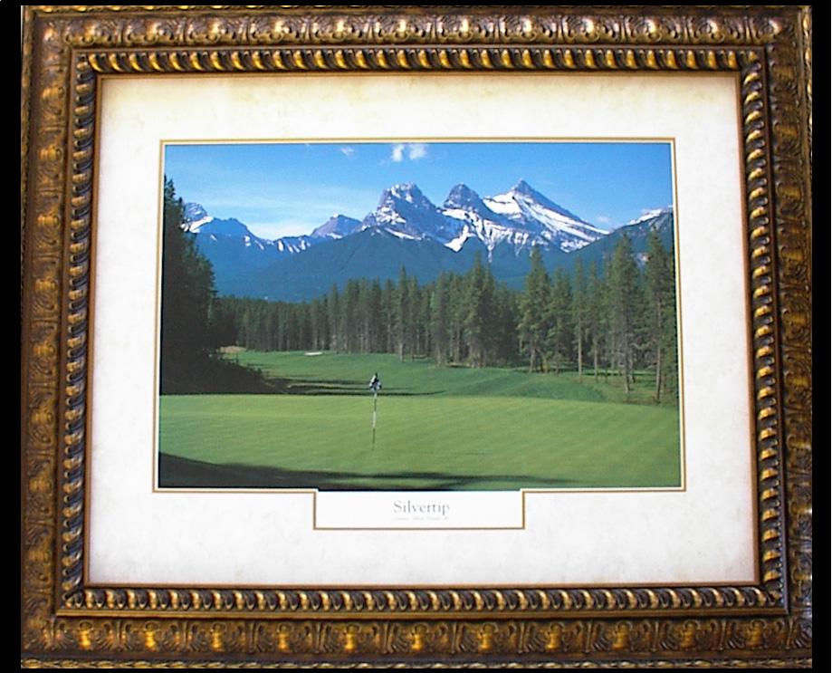 Silvertip Golf Course Bronze Frame Opaque Mat Silvertip Golf Course Bronze Frame Opaque Mat