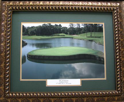 TPC Sawgrass