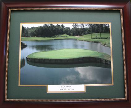 TPC Sawgrass